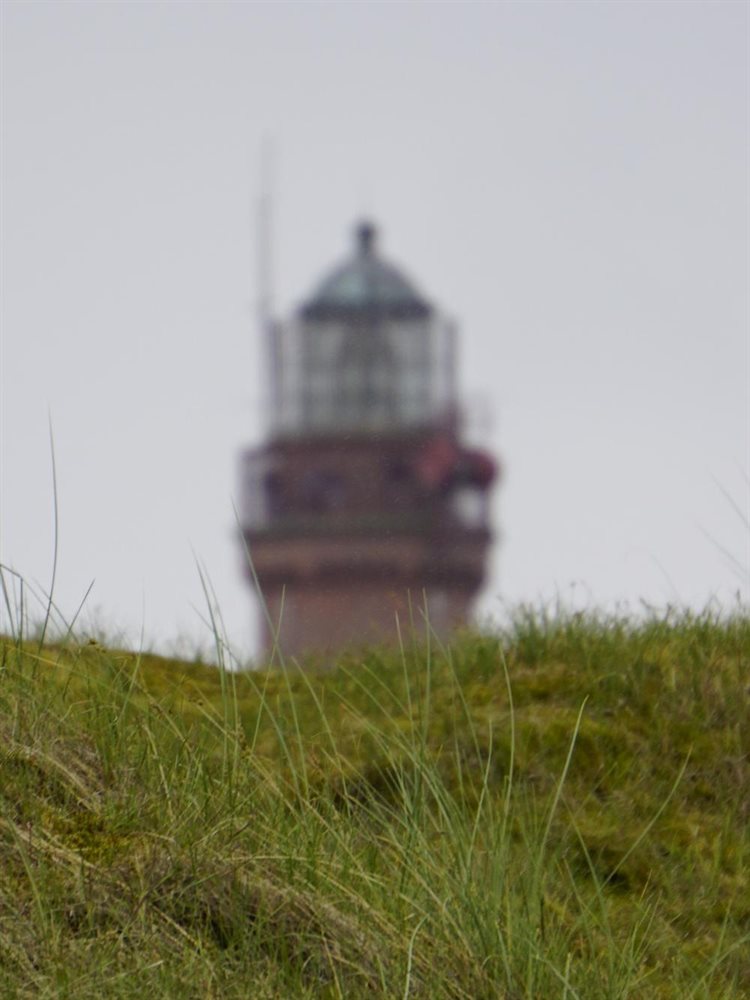 Grasdüne vor dem Leuchtturm