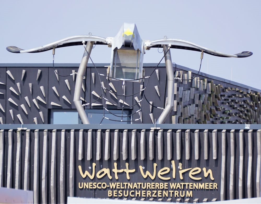 Kornweihe Wattwelten