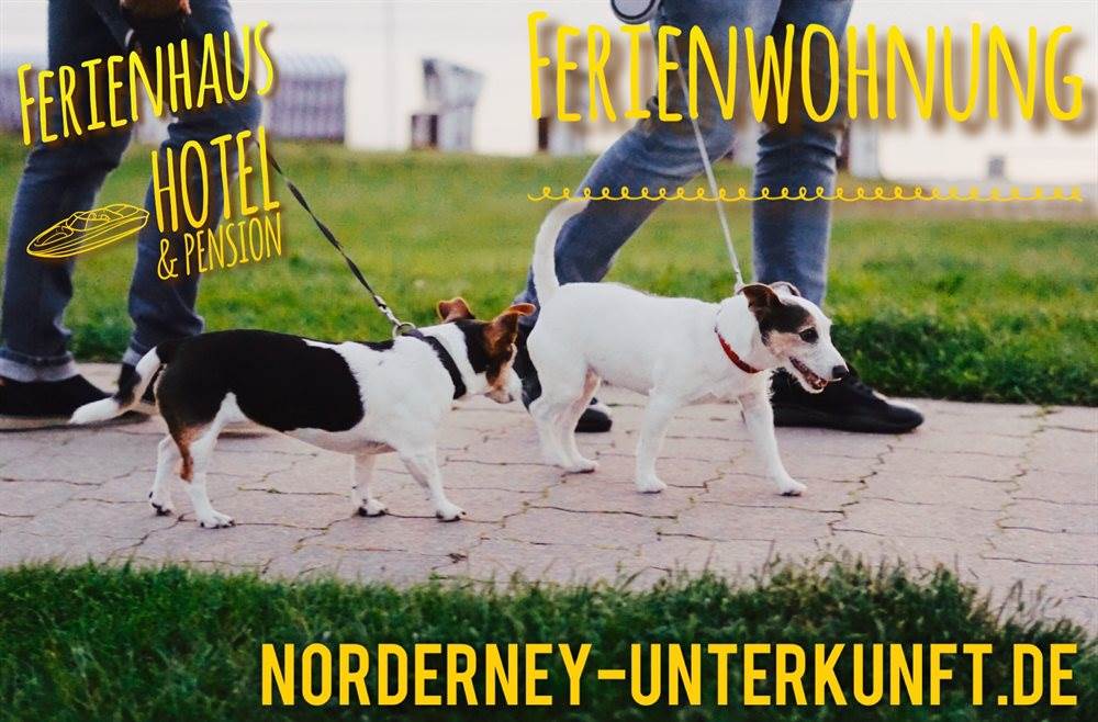 Norderney Unterkunft Banner 🐕 🐕