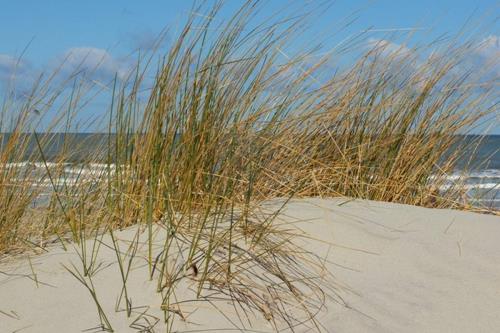 Norderney Ferienwohnung Ferienhaus Hol di toi